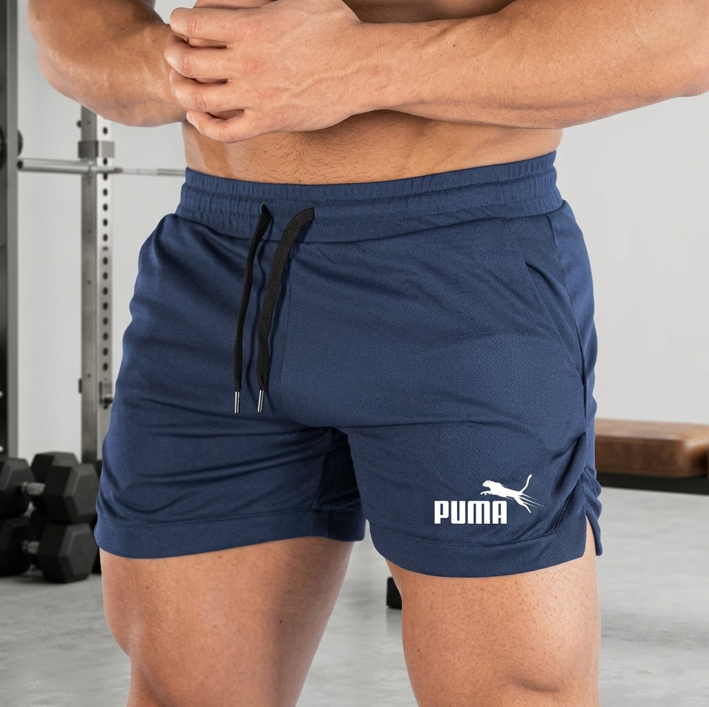 Men's Mesh Quick-Dry Athletic Shorts